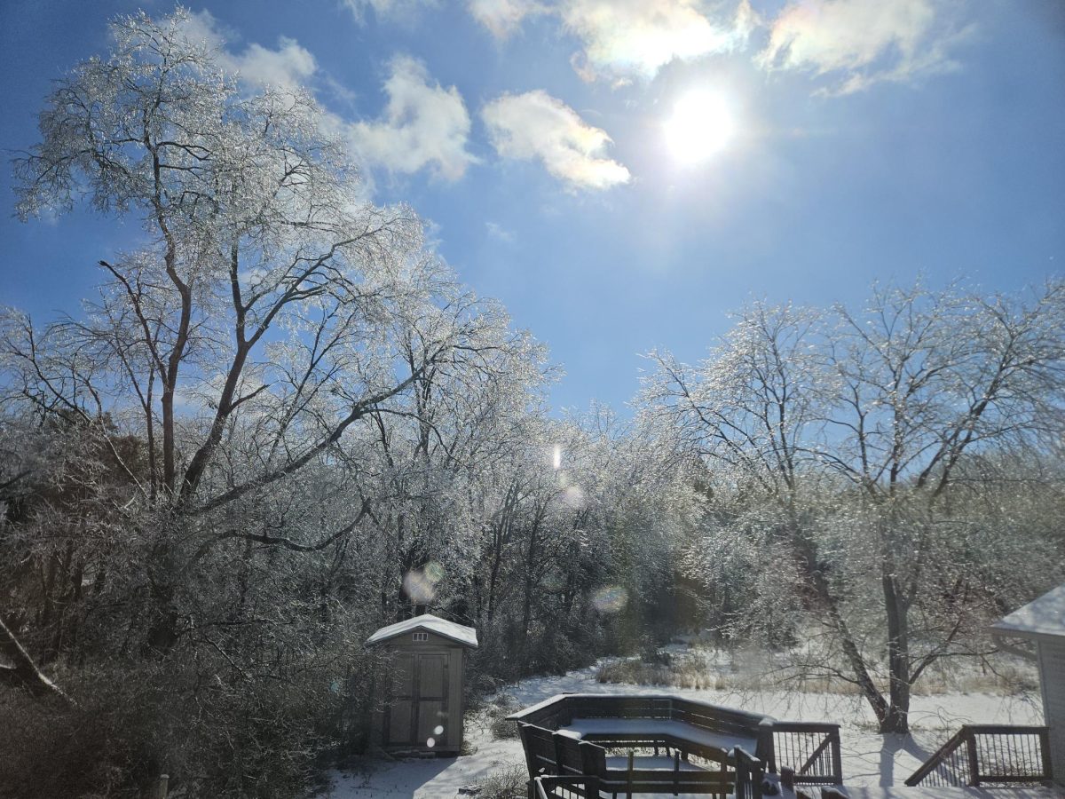Gallery: Purples document their snowy week off